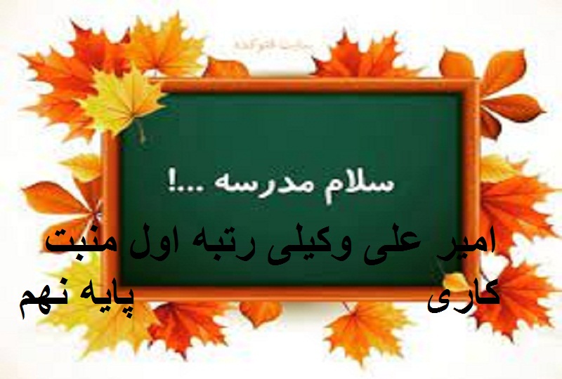 امیر علی وکیلی رتبه اول منبت کاری پایه نهم